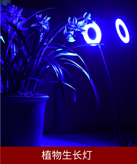 植物生长灯 植物生长灯